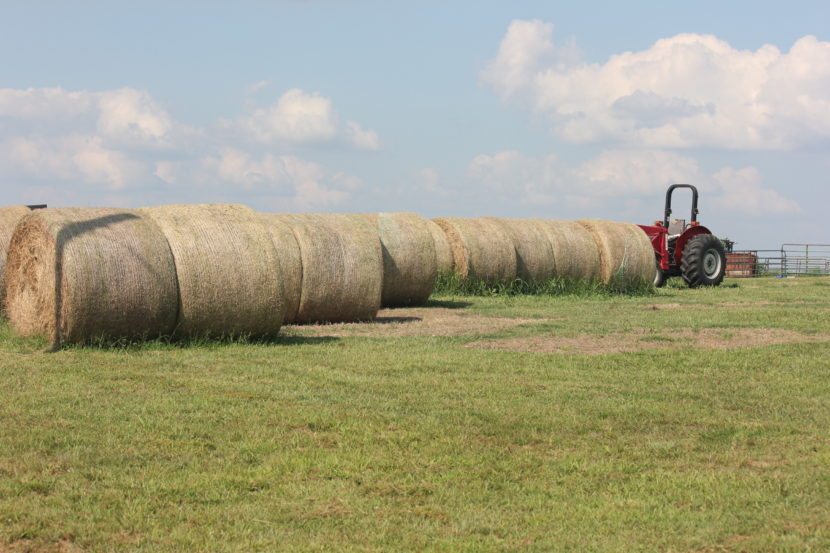 oklahoma natural beef 9806